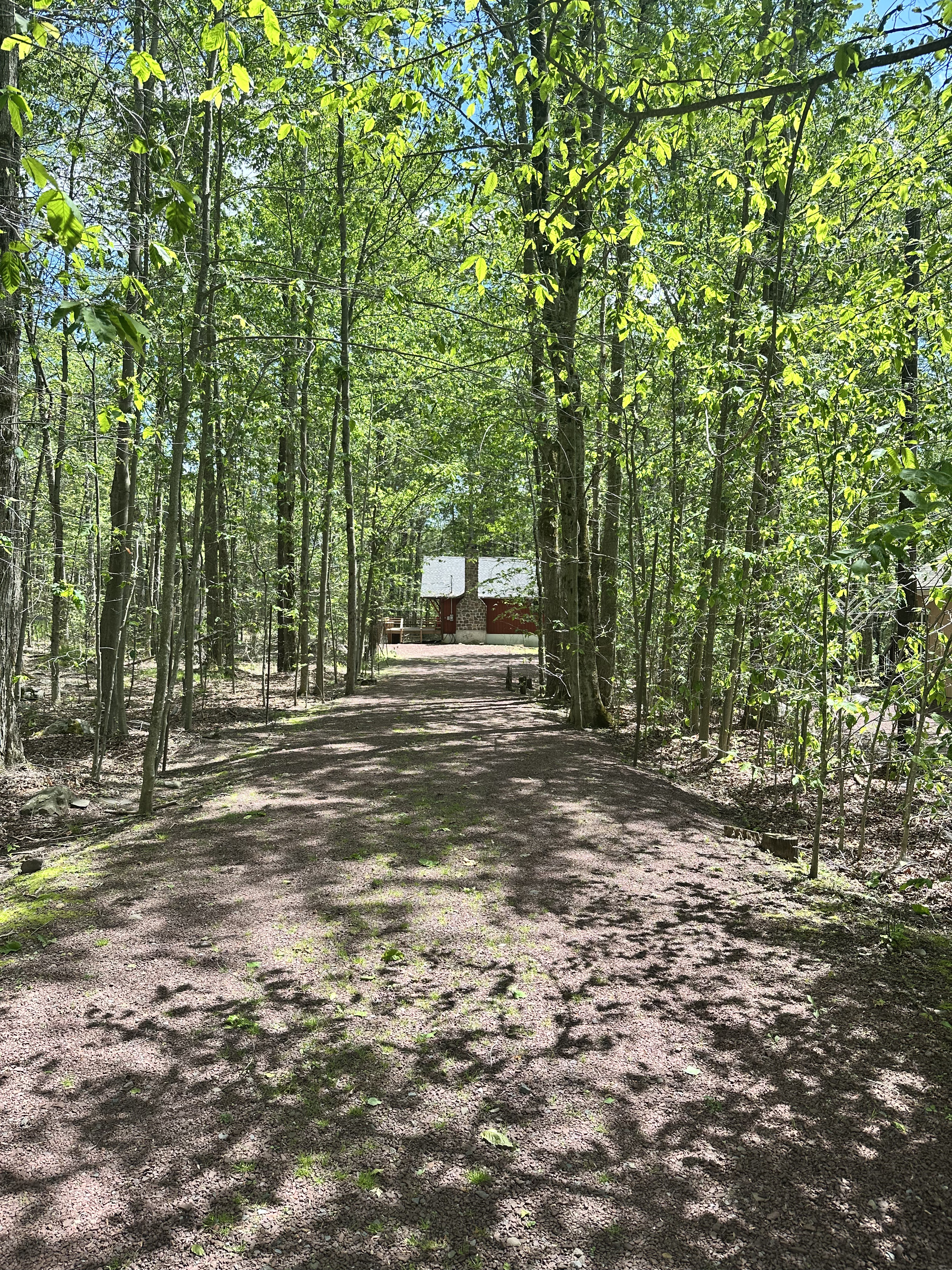 Wooded Driveway